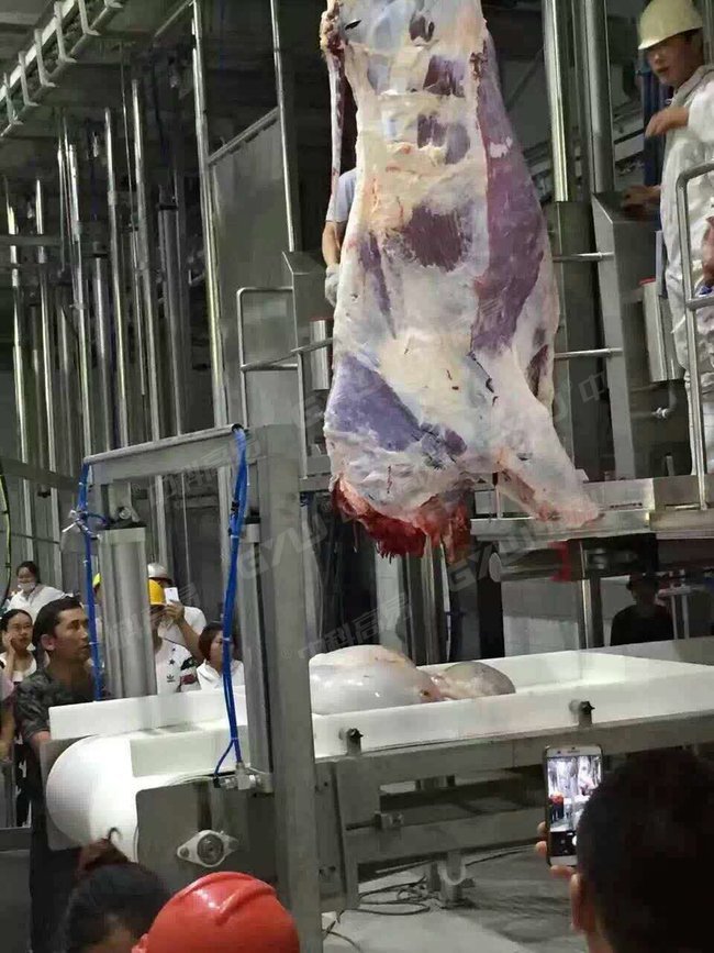 Slaughter Case_Xinjiang Slaughterhouse_4